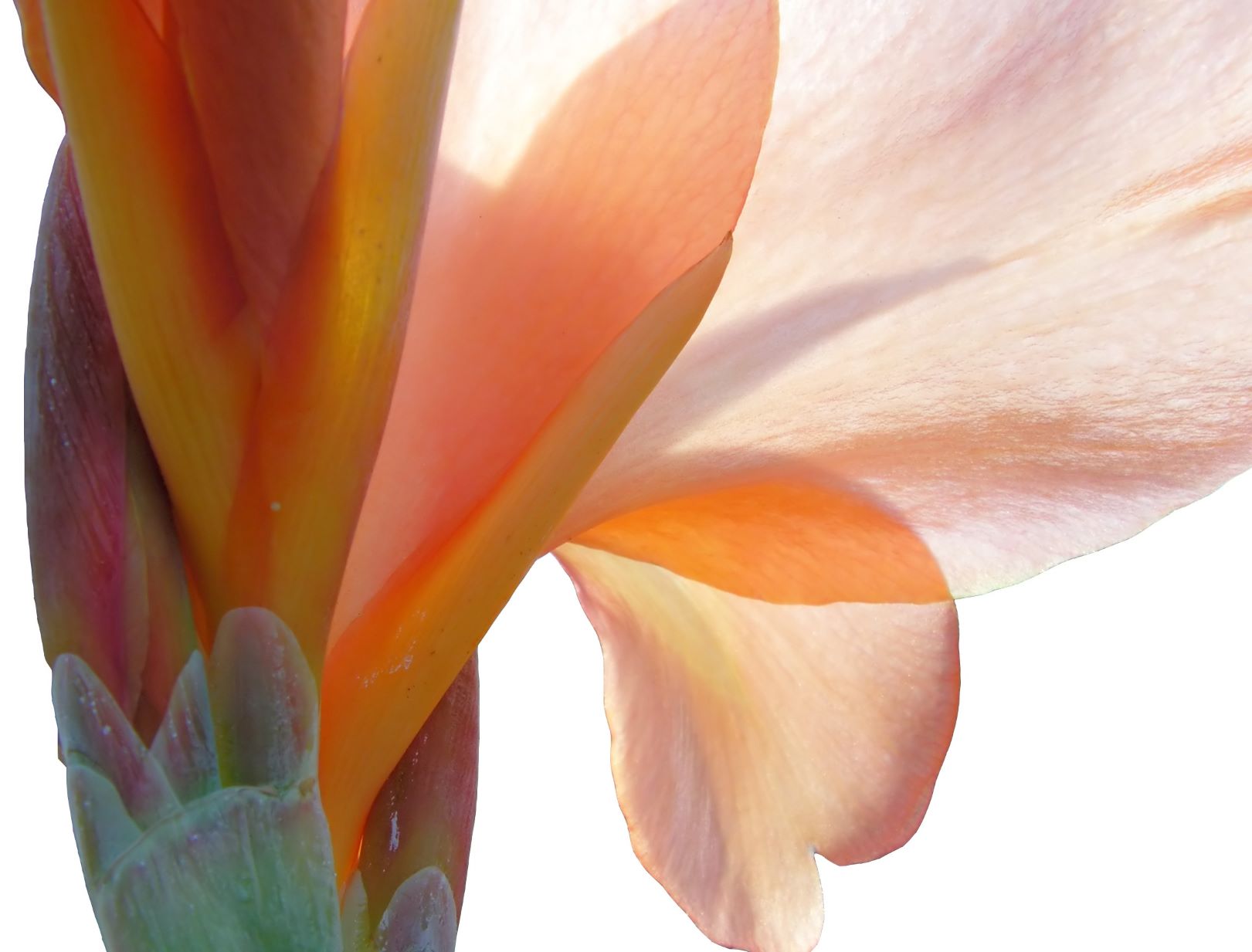 HIN 201 - La vue Hinayana